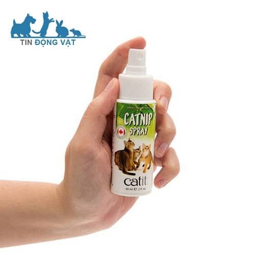 catnip dạng xịt cho mèo