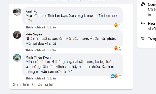 review cát đậu nành cature