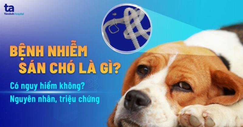 Bác sĩ thú y đang khám cho chó con, kiểm tra tai và mắt của chó con.