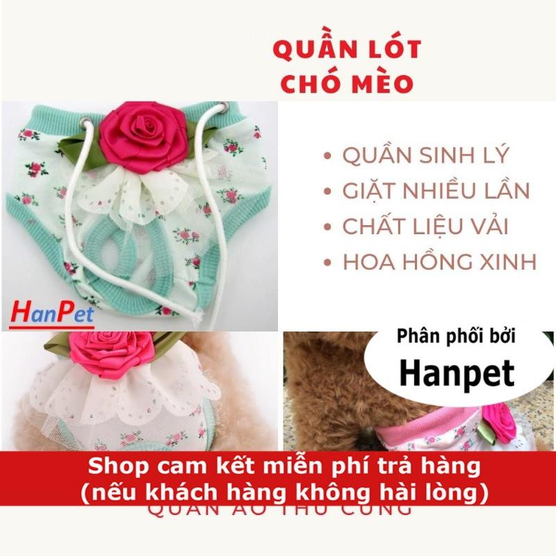 Chó Cái Đeo Quần Lót Vệ Sinh