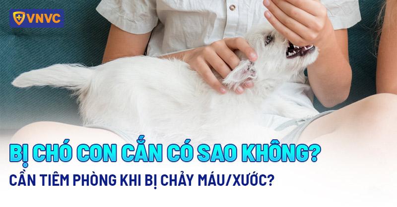 Dấu hiệu bất thường ở mắt chó con