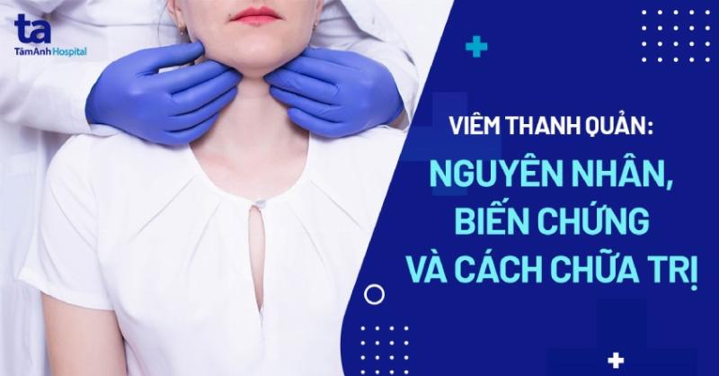 Mèo kêu yếu ớt, chán ăn do viêm thanh quản