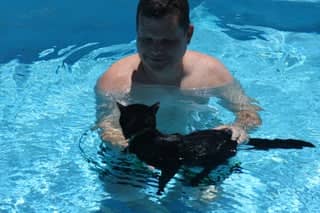 hướng dẫn mèo bơi