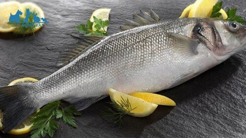Cá chẽm làm món gì ngon? Top 15 Món ngon chế biến từ cá chẽm