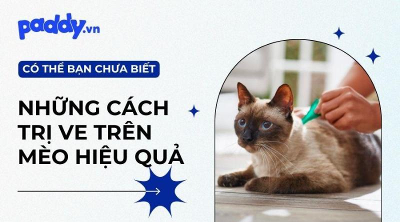 Bảng so sánh thuốc nhỏ gáy trị rận mèo