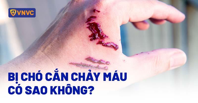 Biến chứng khi chó bị xà mâu đâm: Nhiễm trùng, sưng phù