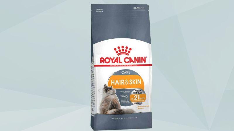 Các dòng hạt Royal Canin cho mèo