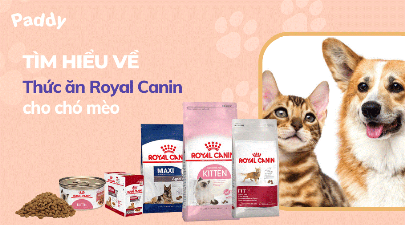 Các dòng sản phẩm thức ăn chó Royal Canin