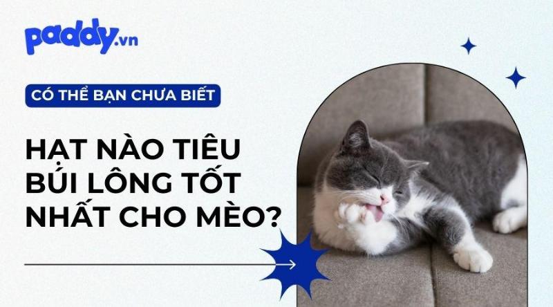 Các loại hạt tiêu búi lông cho mèo