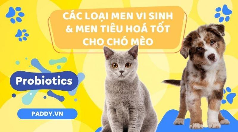 Các loại men tiêu hóa phổ biến cho chó mèo