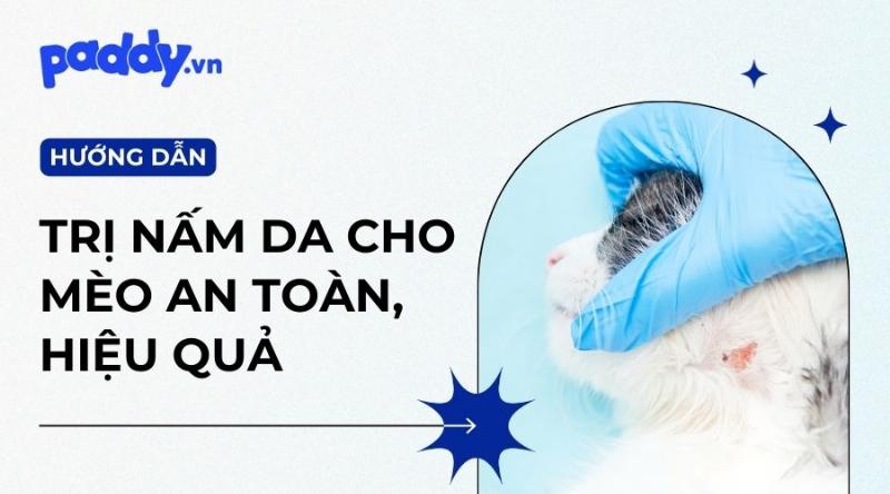 Cách Dùng Thuốc Trị Nấm Mèo