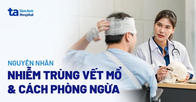 Chăm sóc sức khỏe cho vẹt