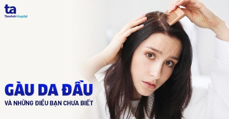 Chó bị nấm da vảy gàu vào mùa đông: Nguyên nhân và cách chăm sóc