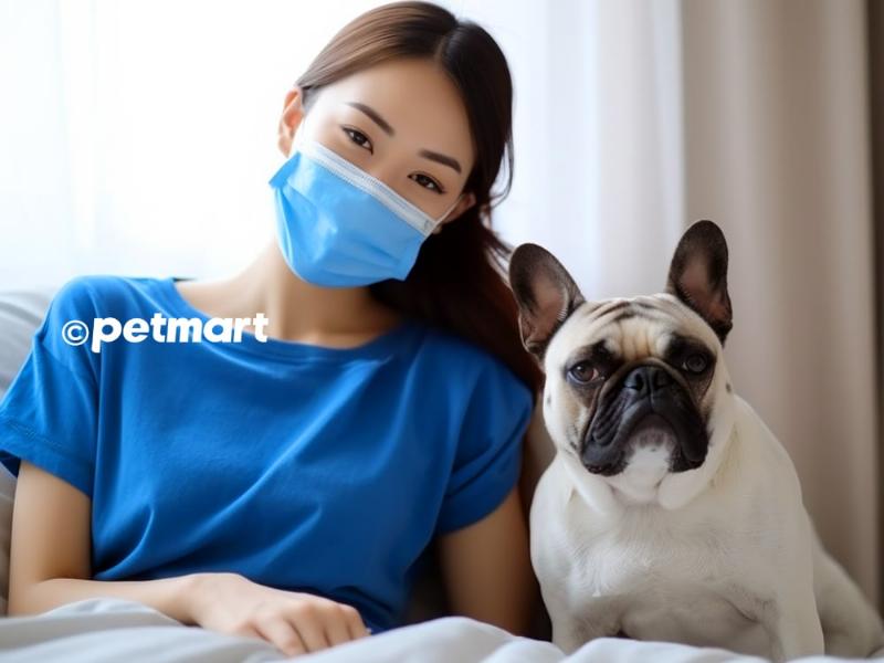 Chó khịt mũi liên tục do dị ứng