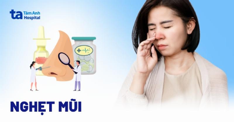 Chó khịt mũi liên tục: Phân biệt dị ứng và cảm lạnh