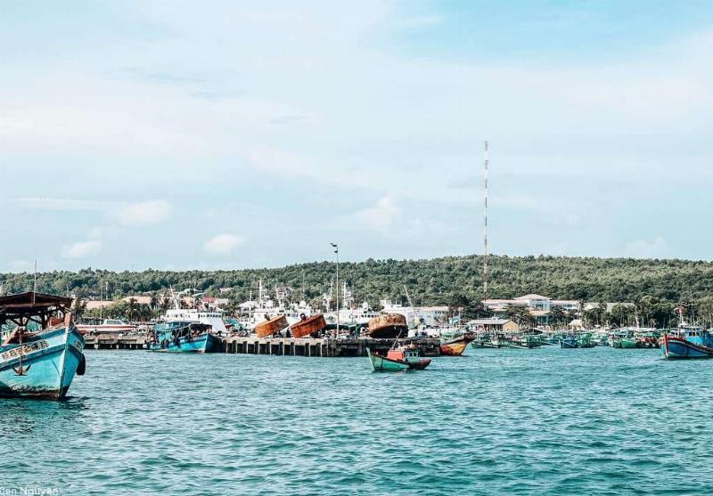 Chó Phú Quốc màu vàng đang nằm phơi nắng