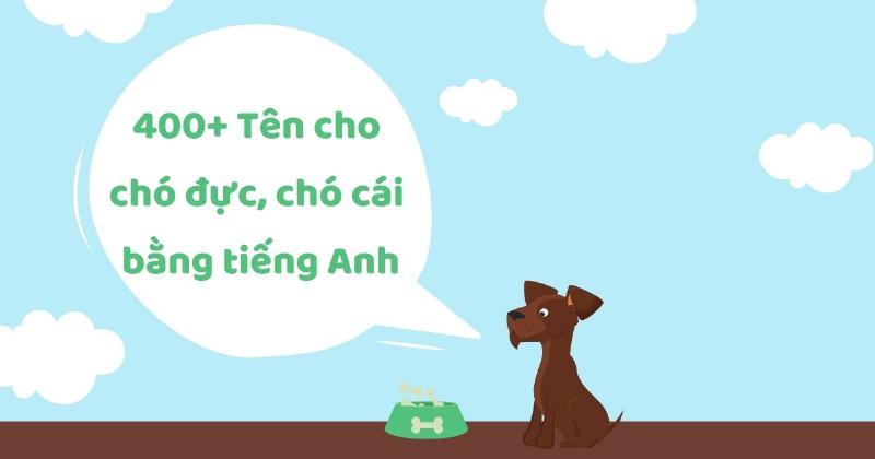 Chó trắng tên tiếng Anh