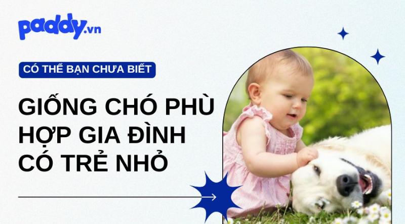 Chọn giống chó phù hợp với gia đình