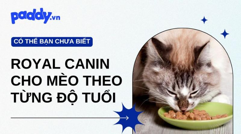 Chọn hạt Royal Canin phù hợp