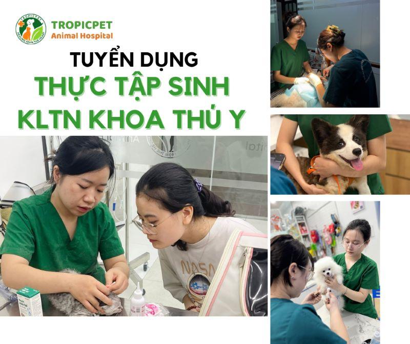 Cơ Hội Phát Triển Nghề Nghiệp Tại Pet Shop