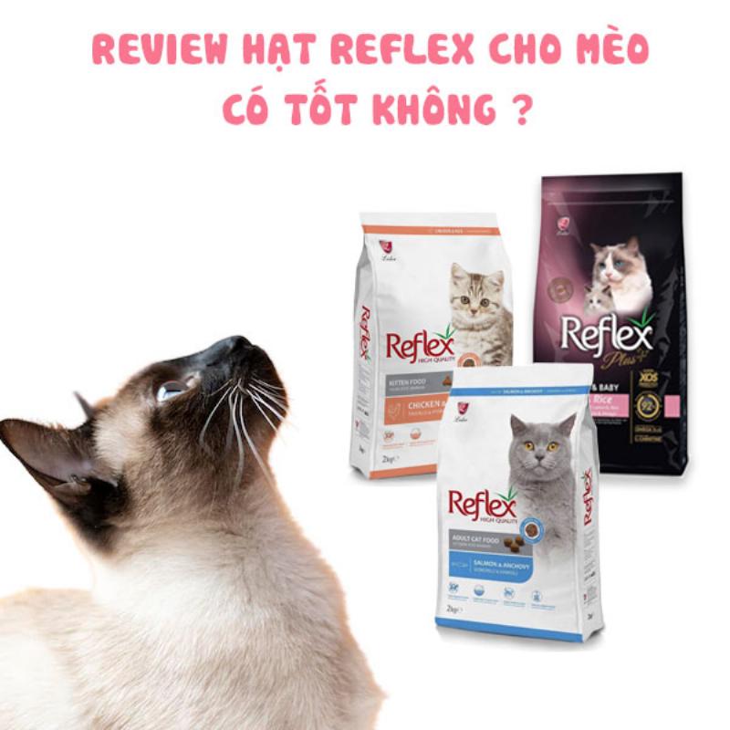 Hạt Reflex Cho Mèo Nguồn Gốc Đức