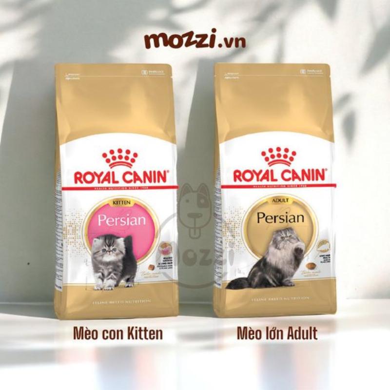 Hạt Royal Canin cho mèo lông dài