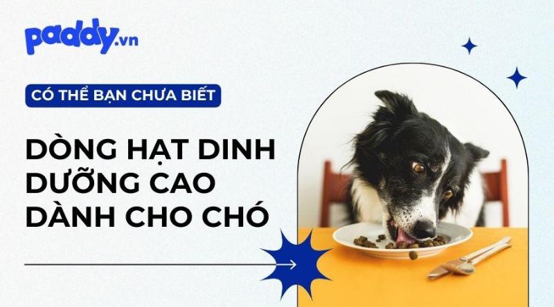 Hạt Taste of the Wild với nguyên liệu cao cấp