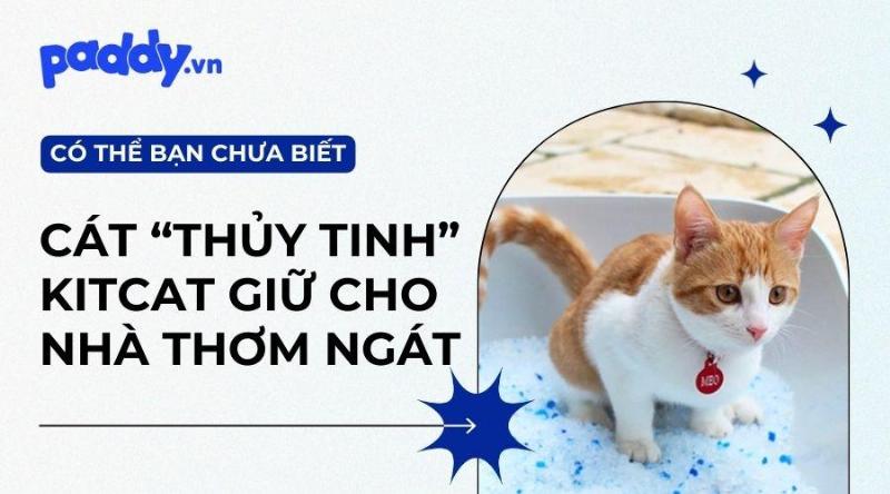 Hướng dẫn sử dụng cát thủy tinh