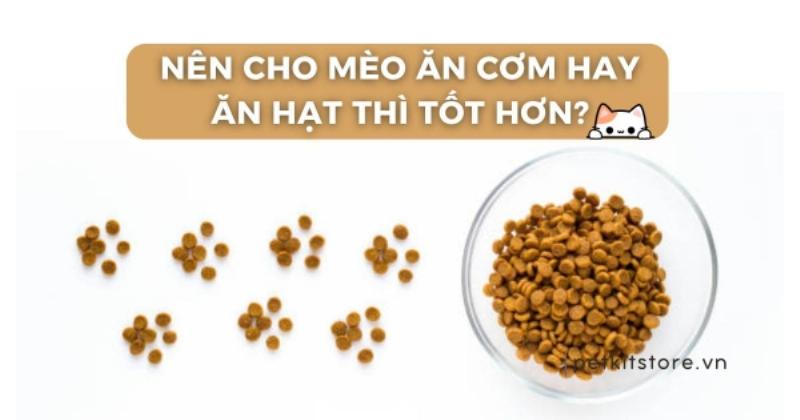 Mèo ăn hạt khô lý tưởng