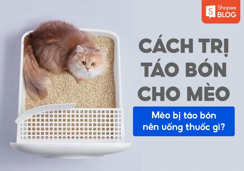 Mèo bị táo bón có dấu hiệu gì?