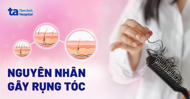 Mèo nôn bọt trắng: Phân biệt sinh lý và bệnh lý