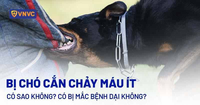 Phân biệt máu trong phân chó