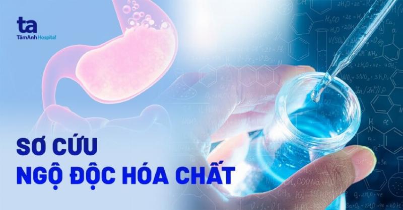 Phòng ngừa ngộ độc ở chó: Bảo quản hóa chất an toàn