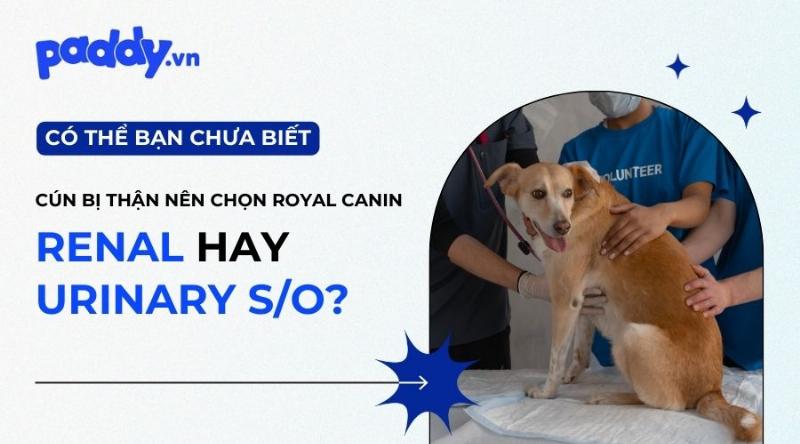 So sánh thức ăn chó Royal Canin với các thương hiệu khác