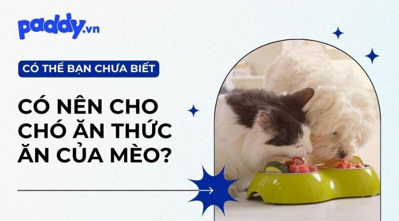 Thức ăn cho chó và mèo khác nhau