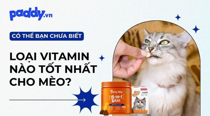 Thức ăn cho thú cưng già hỗ trợ sức khỏe