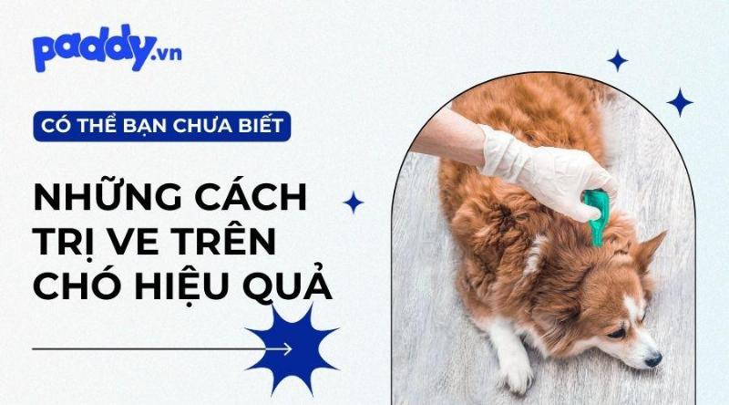 Thuốc trị bọ chét cho dạng viên uống