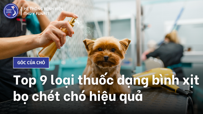 Thuốc trị bọ chét cho dạng xịt