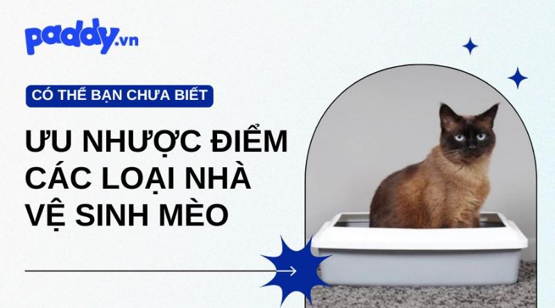 Ưu nhược điểm nhỏ gáy trị rận cho mèo