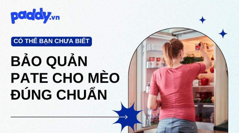 Bảo Quản Pate Mèo Chưa Mở Nắp