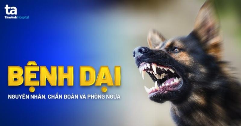 Bảo Vệ Động Vật Khỏi Bệnh Dại