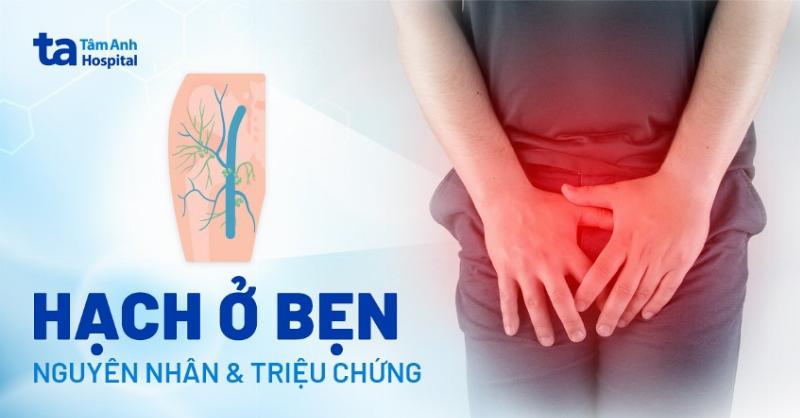 Hình ảnh bộ phận sinh dục mèo cái bên ngoài