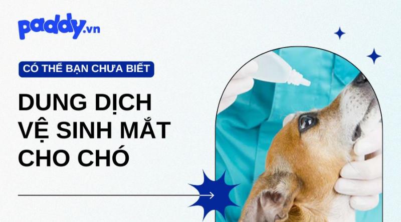 Cách chọn dung dịch vệ sinh mắt cho chó