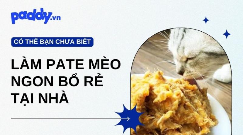 Chế biến hạt rau củ cho mèo: Xay nhuyễn và nấu chín