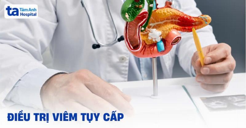 Chó Bị Viêm Tụy Do Ăn Nhiều Hạt Điều