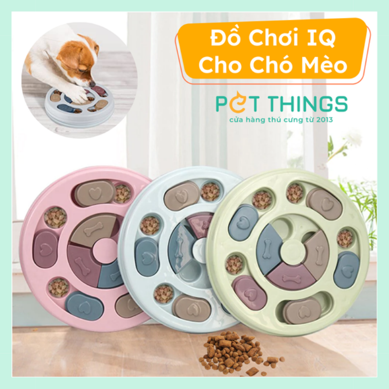 Chó chơi đồ chơi trí tuệ