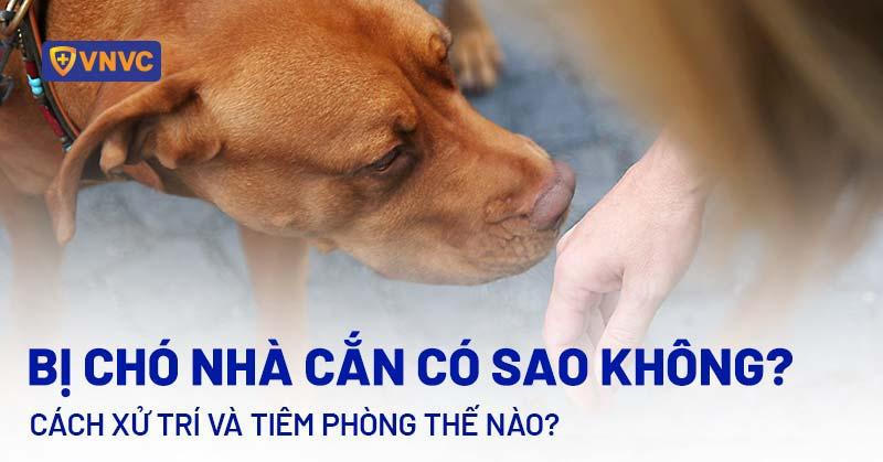 Chó Không Chịu Ăn Cần Phòng Tránh