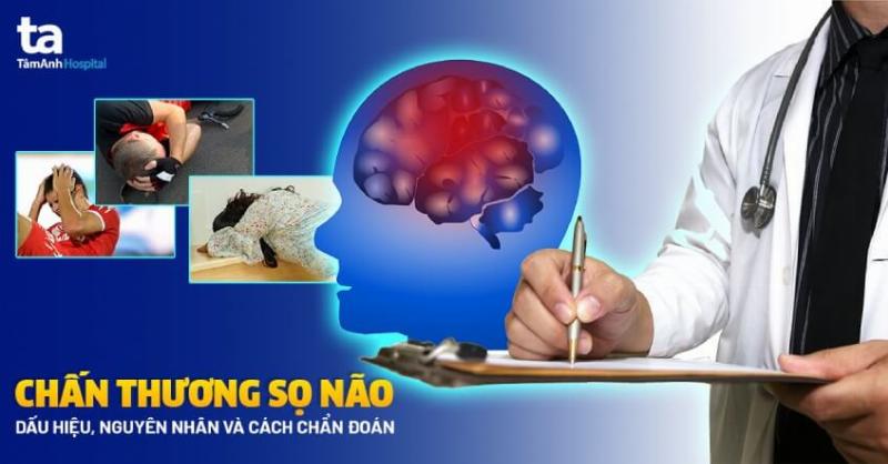 Chó sắp chết khứu giác suy giảm