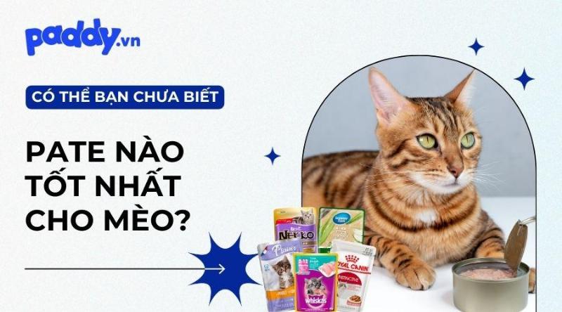 Chọn pate cho mèo phù hợp