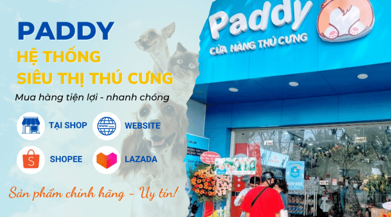 Chọn Siêu Thị Thú Cưng Gần Đây